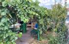 Casă de vânzare Munteni-Buzău județul Ialomița gata de locuit - 12