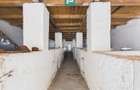 Moară cu brutărie pentru investiții în Secusigiu - 11