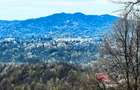 Proprietate Breaza de vis , zona de vis , prezentarea agentului , de vis - 8