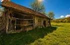 Casa traditionala,zona pitoreasca,domeniu de 3.400 mp,Suveica,Acatari,Mures - 22