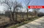Teren 800 mp intravilan str. Olteni, Mosoaia, Arges - 2