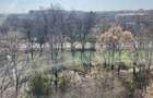 Apartament 2 camere Sud - 10