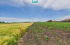 Teren extravilan în suprafață de 10.000 mp, Arad - 12