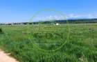 Teren  oportunitate investitie , baza sportiva, 19.000mp, zona Aeroport, - 4