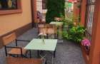 Spatiu comercial Centrul Civic Brasov - 2