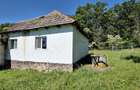 Teren si casa de vanzare in Fasca, 24000 mp , langa padure, 45 km de Oradea - 10