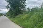 REL4001302 Teren sector 1 Centura DN1 Padurea Baneasa - 1
