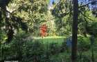 Urgent! Apartament 3 camere piata Minis - 1