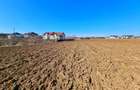 Teren intravilan 13175mp utilitati Ciolpani Strada Alunisului - Padurea Snagov - 11