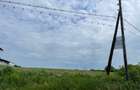 Teren Piscu intravilan,12500 mp, 15 euro mp, 30 m deschidere, toate utilitatile - 4