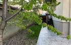 Apartament 3 camere cu curte - Tei / Barbu Vacarescu, Recent Igienizat - 1