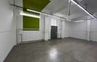 Spatiu Comercial | 261 mp | 20m Vitrina | Tineretului | Parc Carol - 10