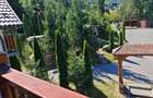 Locație superbă de vânzare, casa de vacanta, locuință, afacere în turism,.  - 7