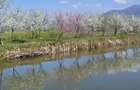 COMPLEX PESCARESC  | DE VANZARE | BRADET | BIHOR | - 4
