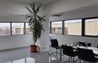REC3001705 Spatiu comercial I Baneasa - 6