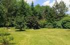 PARADISUL VERDE. PARCELA DE TEREN 1363 MP. LOT SPECIAL. RETRAS - 1