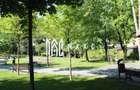 Investitie I Restaurant I Parc Izvor Caciulata - 11