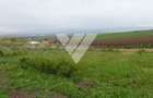 Investitie - Teren intravilan 536 mp Sura Mare ideal construcții - 1