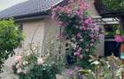 GM1731 Vanzare casa 250mp Afumati-Ograda, teren 1010mp - 11