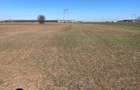 Vanzare | Teren Intravilan 10.759 mp | Str. Viitorului | - 4