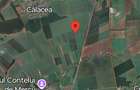 Timisoara Ortisoara-tere agricol  4 hectare comasat - 2
