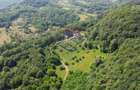 Castel de Vanzare IN MARAMURES - 9
