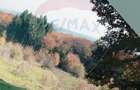 Teren aproape de pădure, situat într-o zonă aerisită - 5