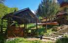 Casa de vacanta perfecta pe malul Cernei  - 5