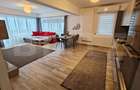 Penthouse 4 camere, 110 mp, 120 mp terasa, 3 locuri in garaj, zona Buna-Ziua - 13