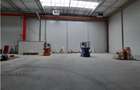 Spatiu Industrial - 5300 mp - Logistica - Productie - Depozitare - Distributie - 4