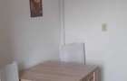 APARTAMENT 2 CAMERE DECOMANDAT, PACURARI, PISICA FRIENDLY - 4