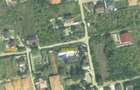 Spatiu versatil 296mp, teren 1766mp, Visan - 7