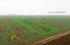 RECO Teren extravilan 5800 mp Livada de Bihor - 8