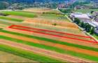 TEREN extravilan- 6 E/MP- CU PLANTATIE DE TRANDAFIRI! Teliu 7000mp - 11