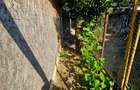 Casă cu teren generos de 1.297 mp, zona Rudului – Ploiești - 47