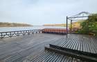 Vila lac snagov in cea mai buna portiune a lacului, ponton, garaj barca, piscina - 33