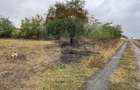 Teren intravilan 1700 mp, de vanzare, A2,  Sarulesti, Polcesti - 5
