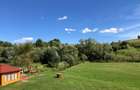 Cabana de închiriat/vanzare  - 8