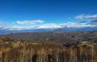 Teren extravilan 2ha, priveliste panoramica spre munti /Poiana Marului - 4
