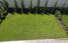 Giulesti  duplex P+1 4 camere de vanzare - 12
