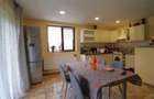 Sanmartin - Vila cu 3 apartamente si potential de inchiriere - 6