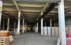 Hală industrială 3.600 mp cu acces cale ferată – Buftea - 9