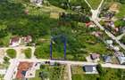 Teren de Vânzare 1450mp la Asfalt - Zona Plopii Fără Soț, Bucium-Iași - 2