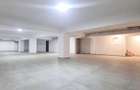 SPATIU COMERCIAL STRADAL - TOTAL 420 MP - 6