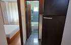 Inchiriere apartament 2 camere - Piata Resita-Ideal activitate profesionala - 15