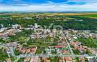 Casă spațioasă cu livadă în Buziaș - 18
