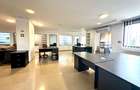 Business Hub Petre Ispirescu - 6 camere - 2