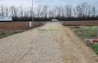 Vânzare teren industrial 4000 mp Popești-Leordeni - 7