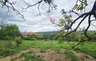 Teren 5,350mp Dobreni / Strada Manastirea Horaita - 17