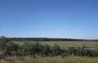 TEREN INTRAVILAN 1950 MP MOARA VLASIEI LA LAC - 3
